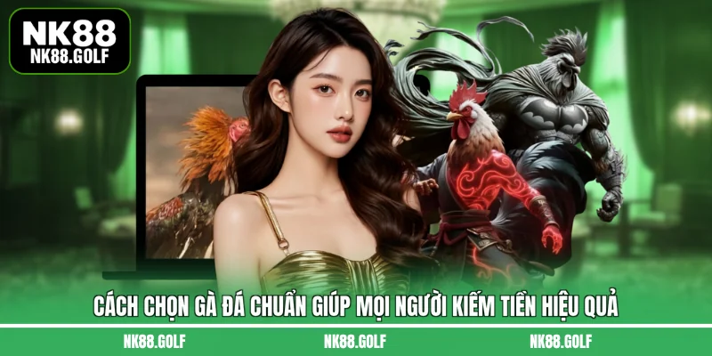 cách chọn gà đá