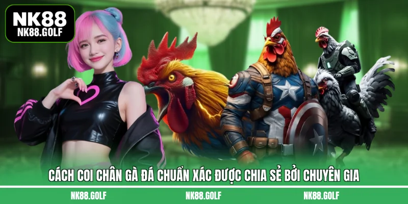 cách coi chân gà đá