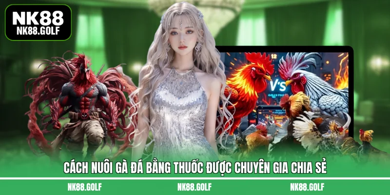 cách nuôi gà đá bằng thuốc