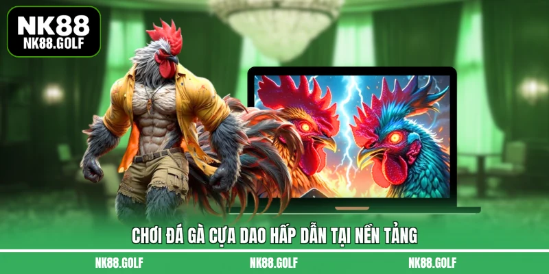 Chơi đá gà cựa dao hấp dẫn tại nền tảng