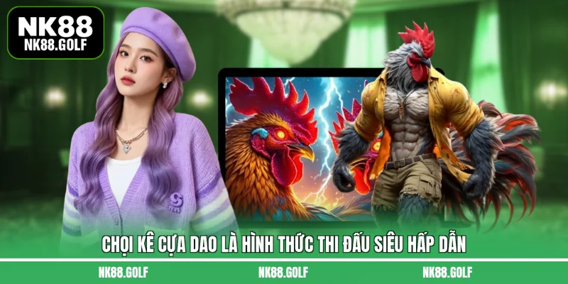 Chọi kê cựa dao là hình thức thi đấu siêu hấp dẫn