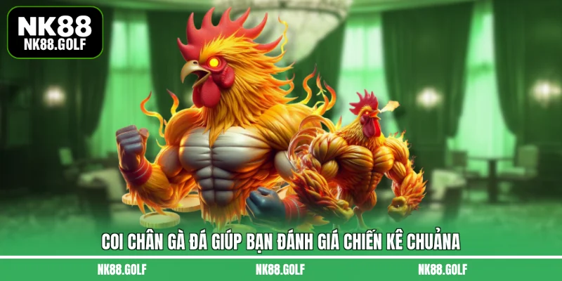 Coi chân gà đá giúp bạn đánh giá chiến kê chuẩn