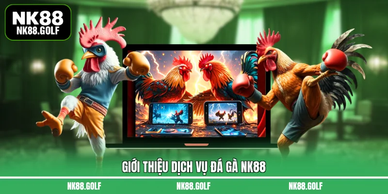 Giới thiệu dịch vụ đá gà NK88