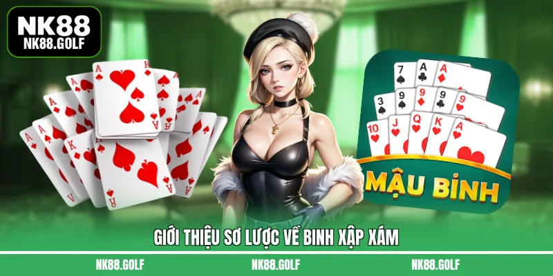 Giới thiệu sơ lược về binh xập xám