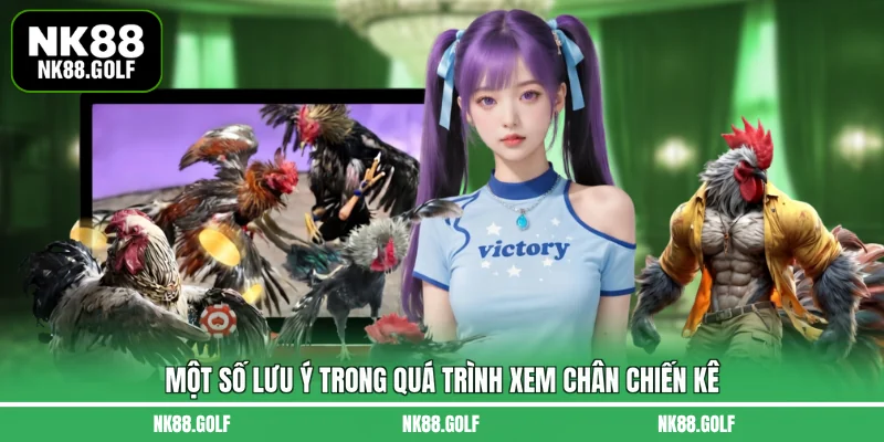 Một số lưu ý trong quá trình xem chân chiến kê