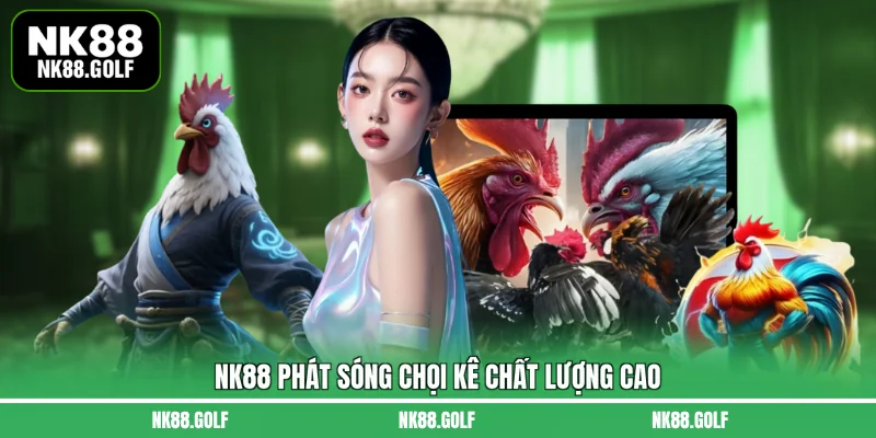NK88 phát sóng chọi kê chất lượng cao