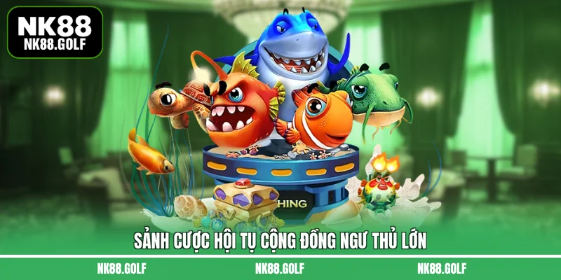 Sảnh cược hội tụ cộng đồng ngư thủ lớn