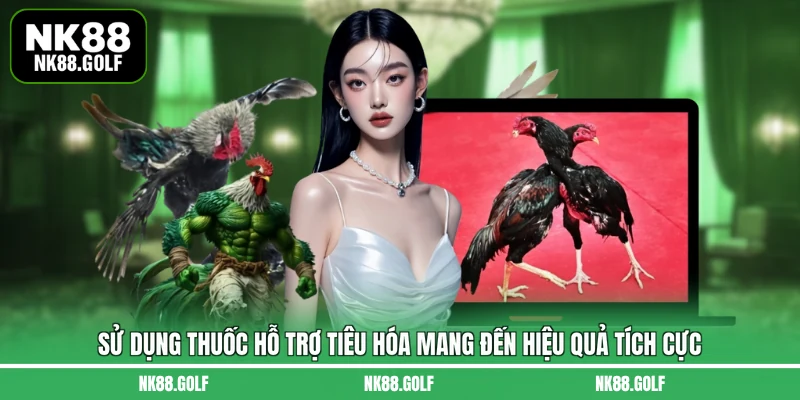 Sử dụng thuốc hỗ trợ tiêu hóa mang đến hiệu quả tích cực